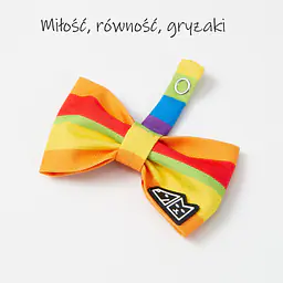 Zestaw muszka M + zabawka kość - Master