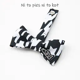 Zestaw muszka M + zabawka kość - Master