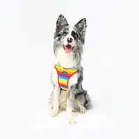 Stay-on pressure-free harness "Love, Equality, Teethers" - Master
