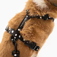 "Adopt the dot" pressure-free harness - Master