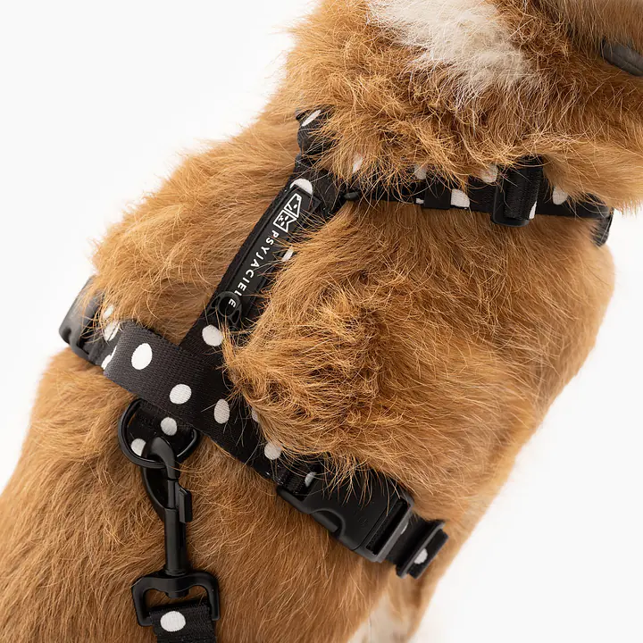 "Adopt the dot" pressure-free harness - Master