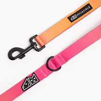 City leash "Under my ombrella" orange - Master