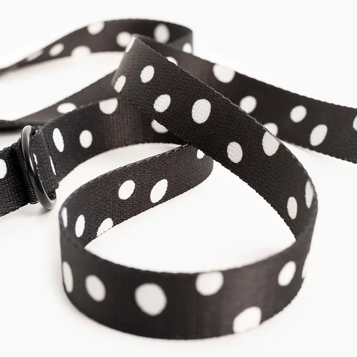 "Adopt the dot" Loop attached to the car belt - Master