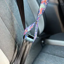 "Adopt the dot" Loop attached to the car belt - Master