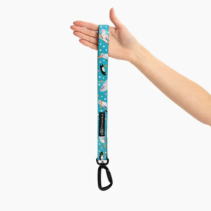 Loop attached to the car belt "What does the seal say"  - Master