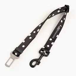 "Adopt the dot" car belts - Master