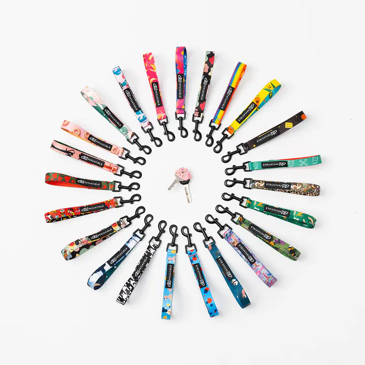 "Adopt the dot" Key chain - Master