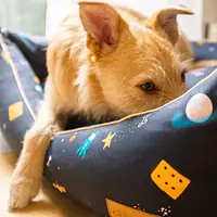 Kanapa ortopedyczna "I need space" - Master