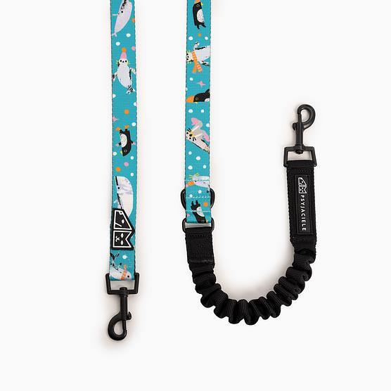 Adjustable leash with shock absorber "What does the seal said"