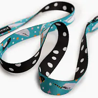 Adjustable leash with shock absorber "What does the seal said"  - Master