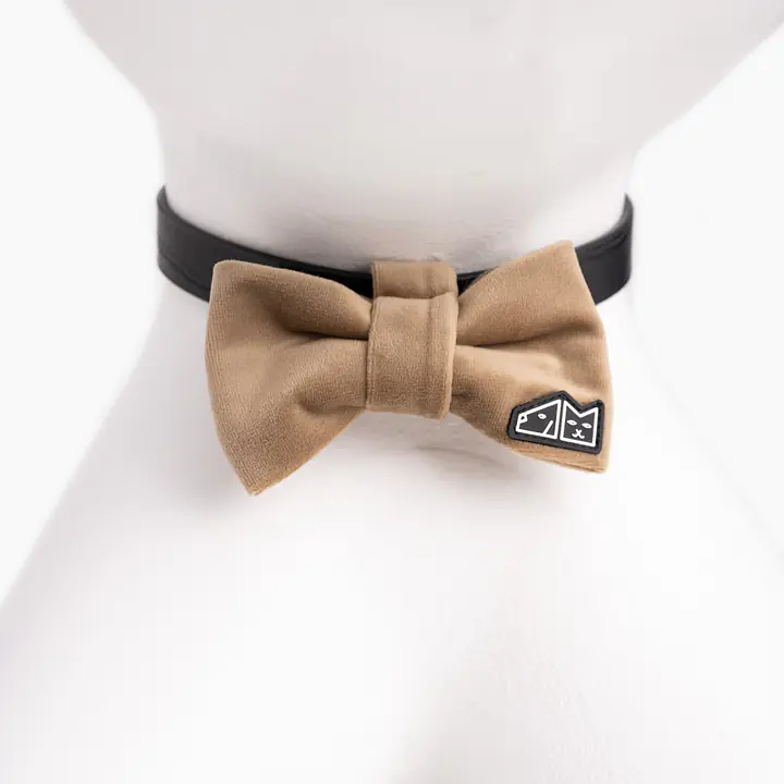 Bow tie "Soy latte"  - Master
