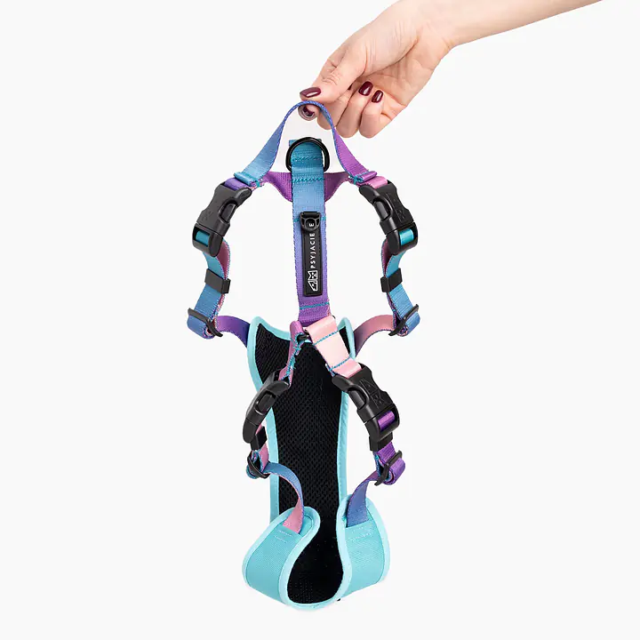 Stay-on pressure-free harness "Under my ombrella" turquoise - Master