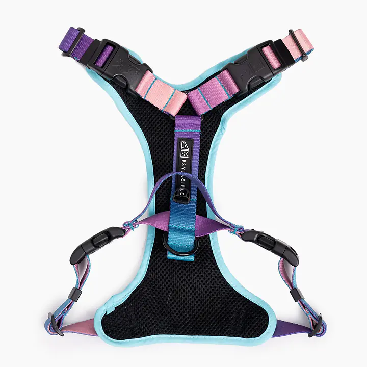 Stay-on pressure-free harness "Under my ombrella" turquoise - Master