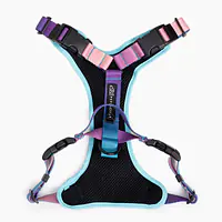 Stay-on pressure-free harness "Under my ombrella" turquoise - Master