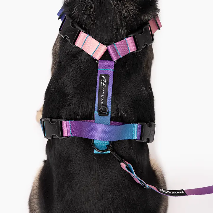 Stay-on pressure-free harness "Under my ombrella" turquoise - Master