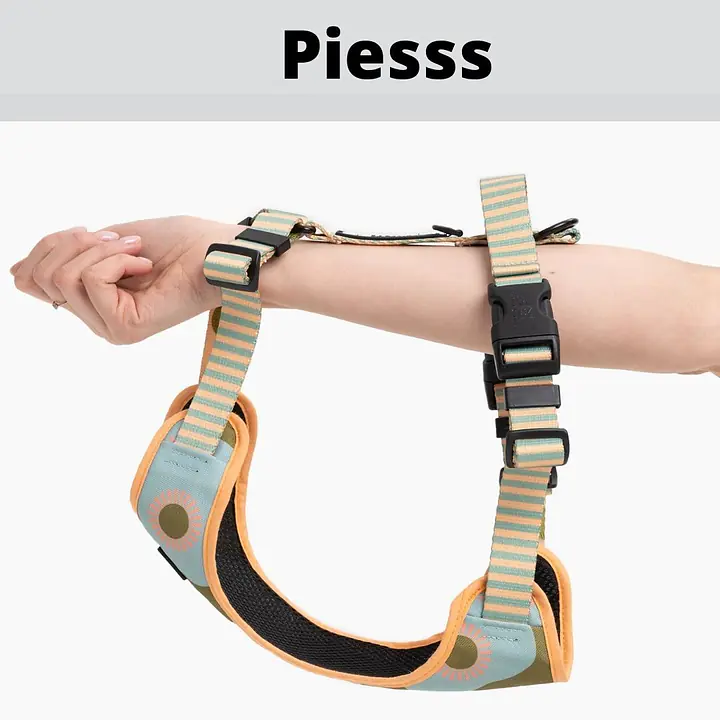 Stay-on pressure-free harness "Under my ombrella" turquoise - Master