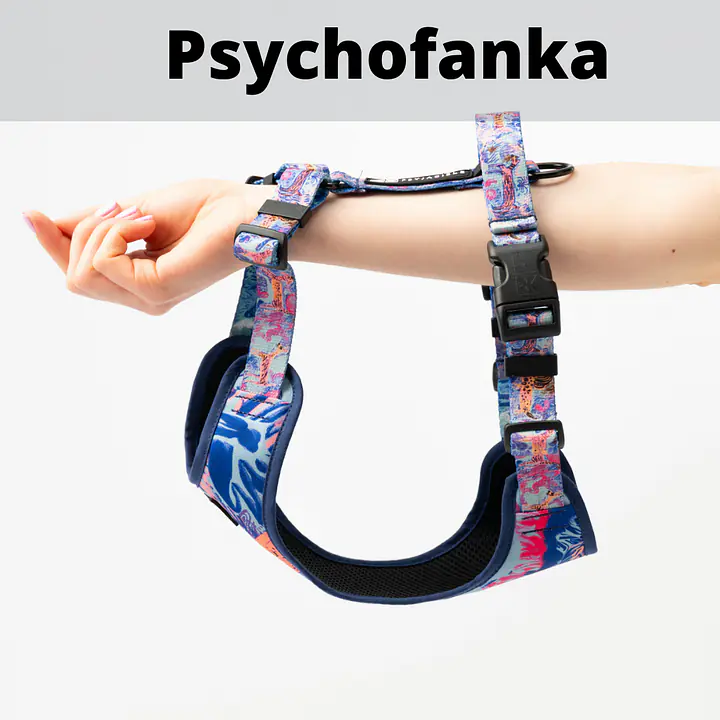 Stay-on pressure-free harness "Under my ombrella" turquoise - Master