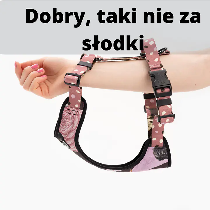 Stay-on pressure-free harness "Under my ombrella" turquoise - Master