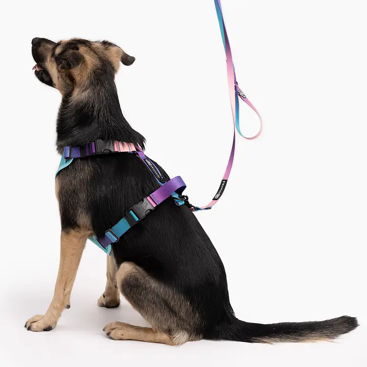Stay-on pressure-free harness "Under my ombrella" green - Master