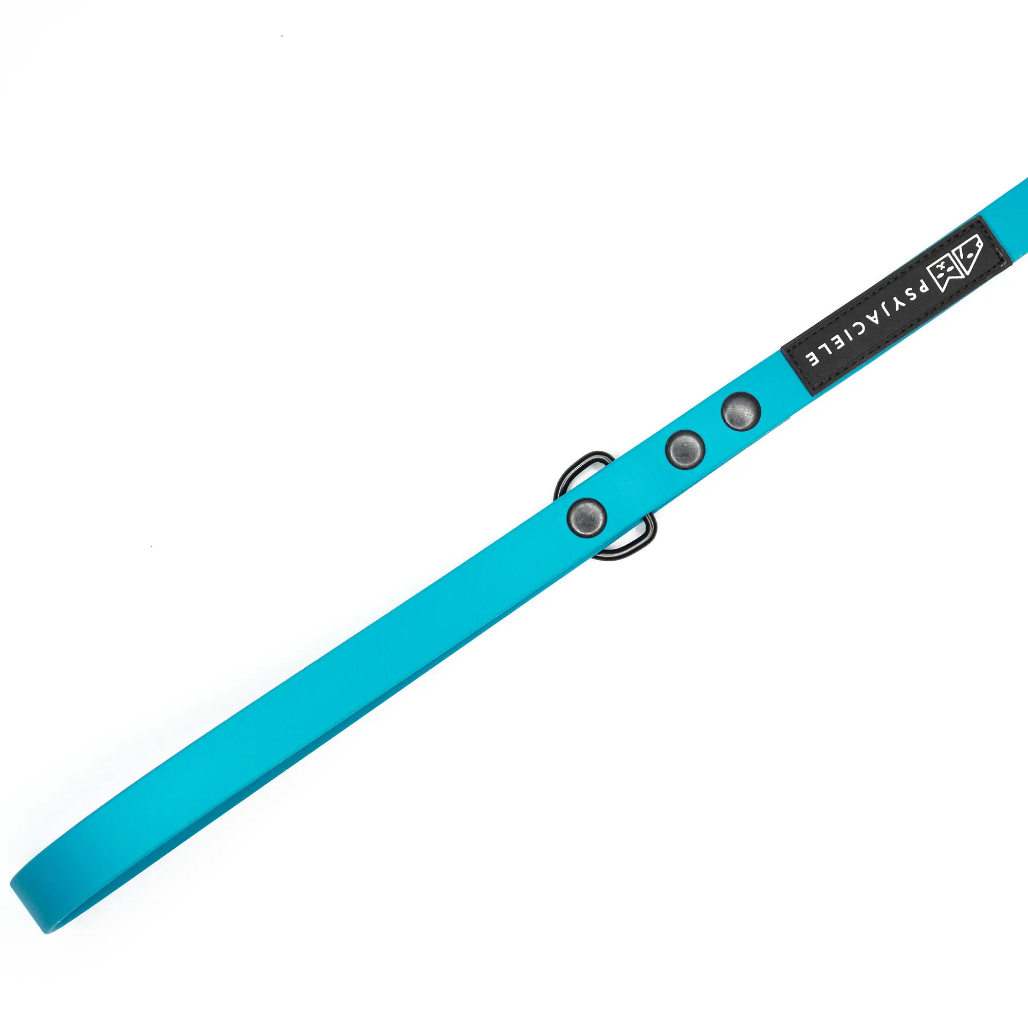 Biothane® leash for 2 dogs - Master