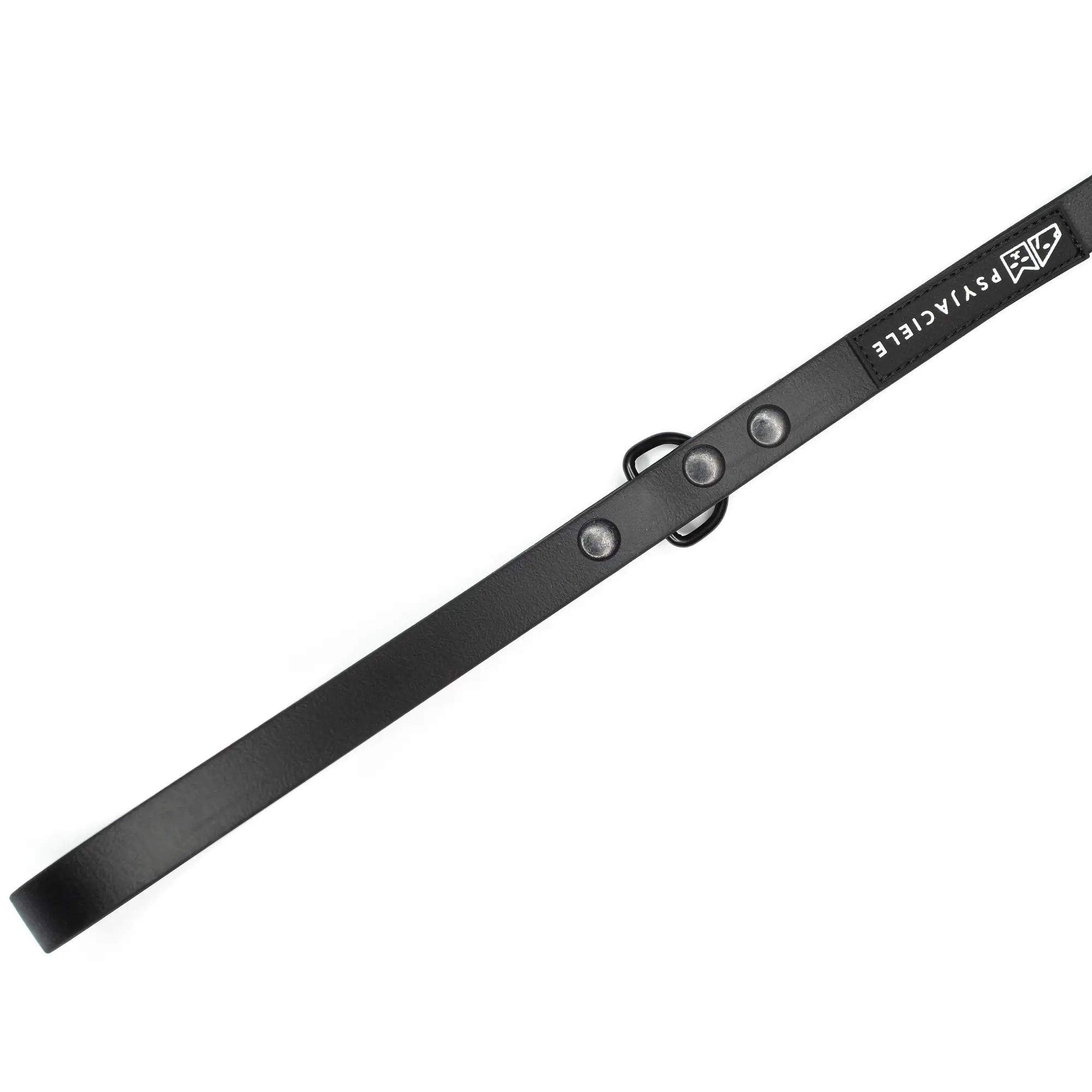 Biothane® leash for 2 dogs - Master