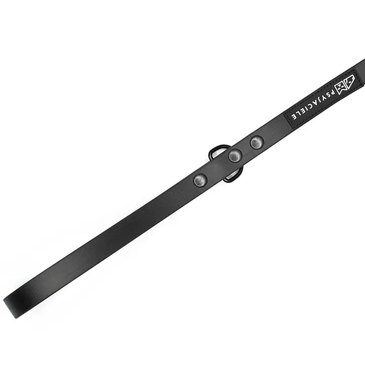 Biothane® leash for 2 dogs - Master