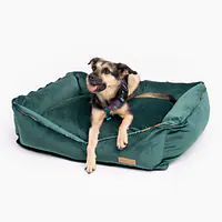 Velvet couch "Dogollage'' - Master