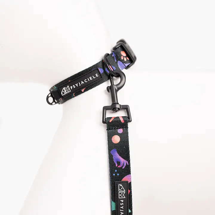 Dog or cat collar "Psychodelic" - Master