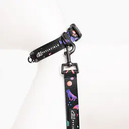 Dog or cat collar "Psychodelic" - Master