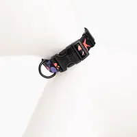 Dog or cat collar "Psychodelic" - Master