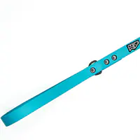 "Turquoise AF"  Biothane® urban leash - Master