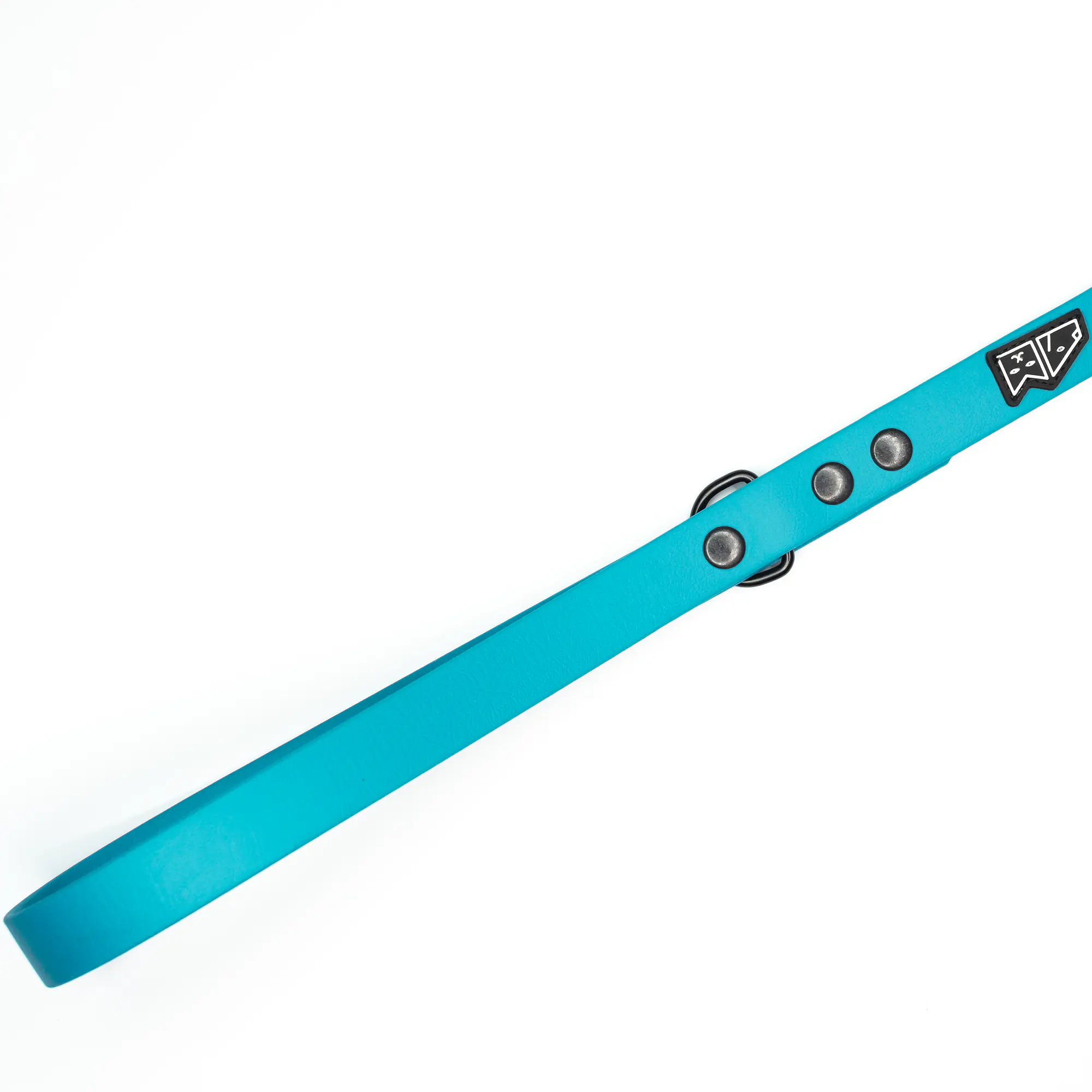 "Turquoise AF"  Biothane® urban leash - Master