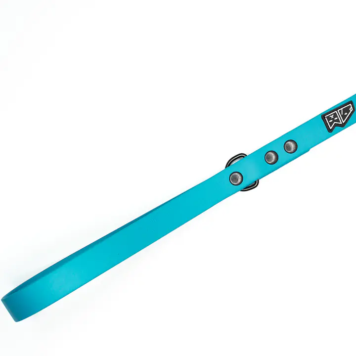 "Turquoise AF"  Biothane® urban leash - Master