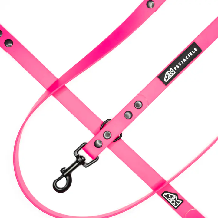"Pink AF" Biothane® leash - Master