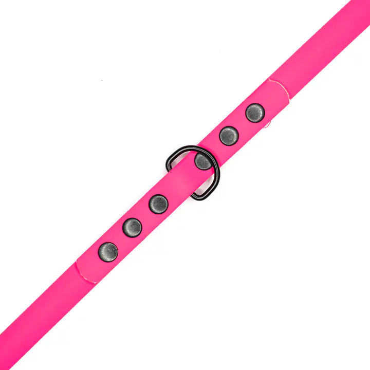 "Pink AF" Biothane® leash - Master