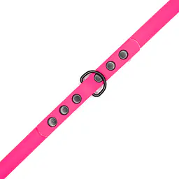 "Pink AF" Biothane® leash - Master
