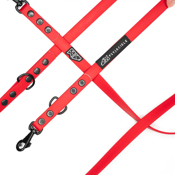 "Red AF" Biothane® leash - Master