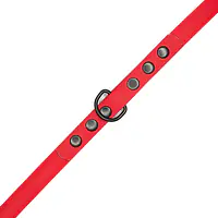 "Red AF" Biothane® leash - Master