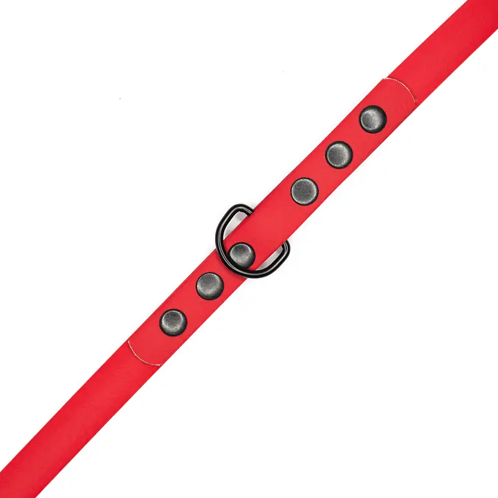 "Red AF" Biothane® leash - Master
