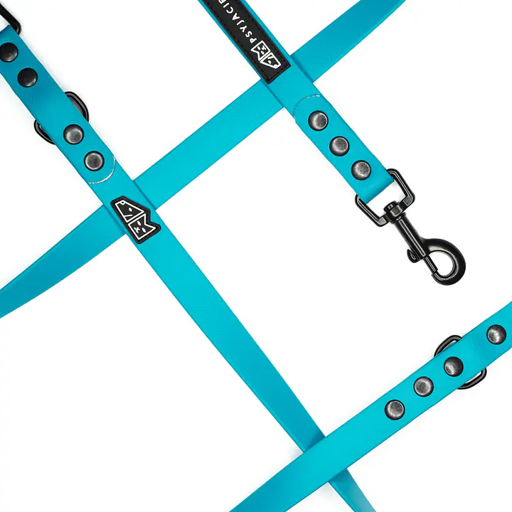 Smycz przepinana Biothane® dla psa lub kota "Turquoise AF" - Master