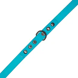 "Turquoise AF" Biothane® leash - Master