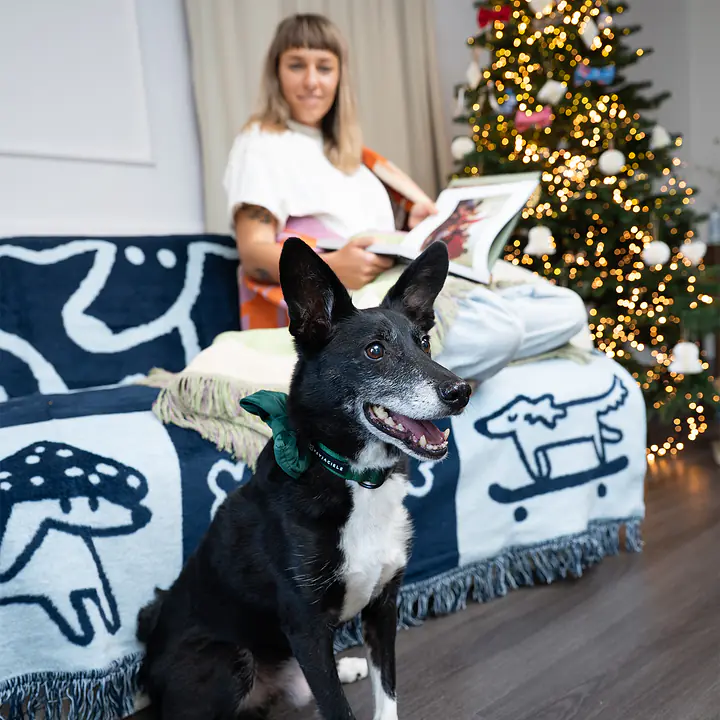 Blanket "Dog in shoes" - Master