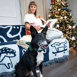 Koc "Woof Street Journal" - Master