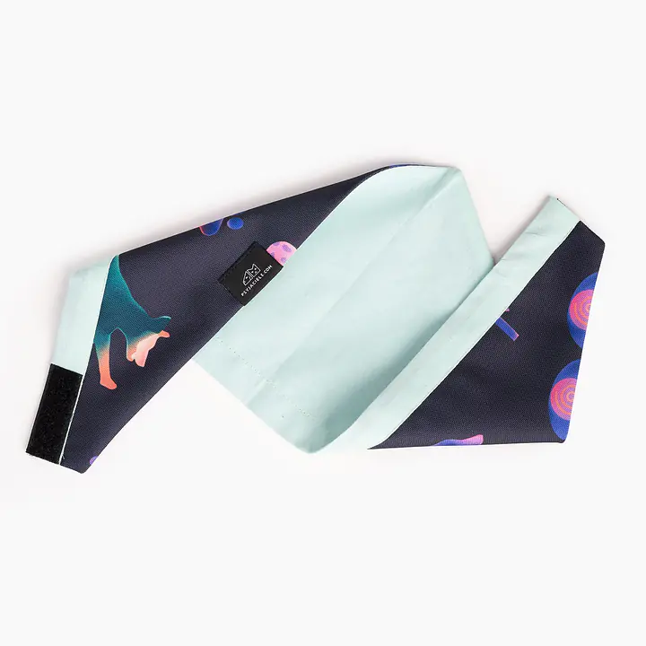 Bandana "Psychedelic" - Master