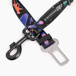 Pasy samochodowe "Psychodelia" - Master