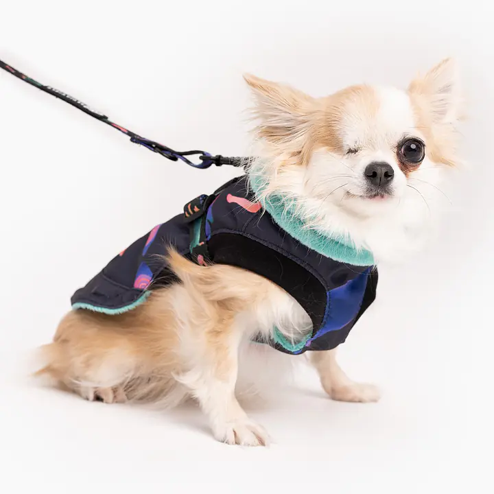 Kurtka dla psa "Psychodelia" - Master