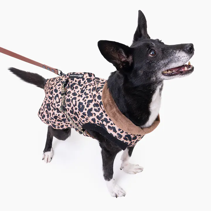 Dog jacket "Respect the wildness" - Master