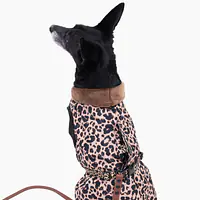 Dog jacket "Respect the wildness" - Master