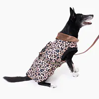 Dog jacket "Respect the wildness" - Master
