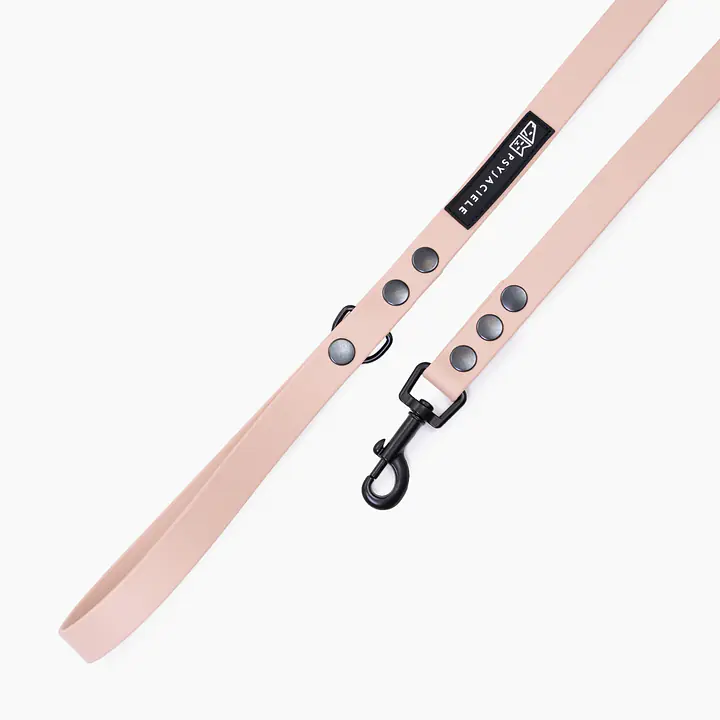 Smycz miejska Biothane® dla psa lub kota "Beige AF" - Master